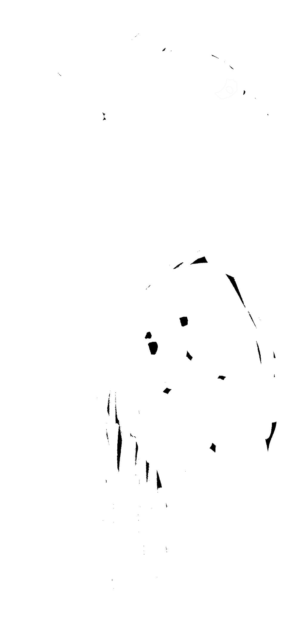 by Mark Gonzales, 1999