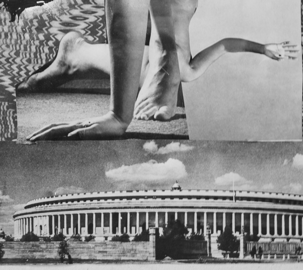 pam1 misha hollenbach pam